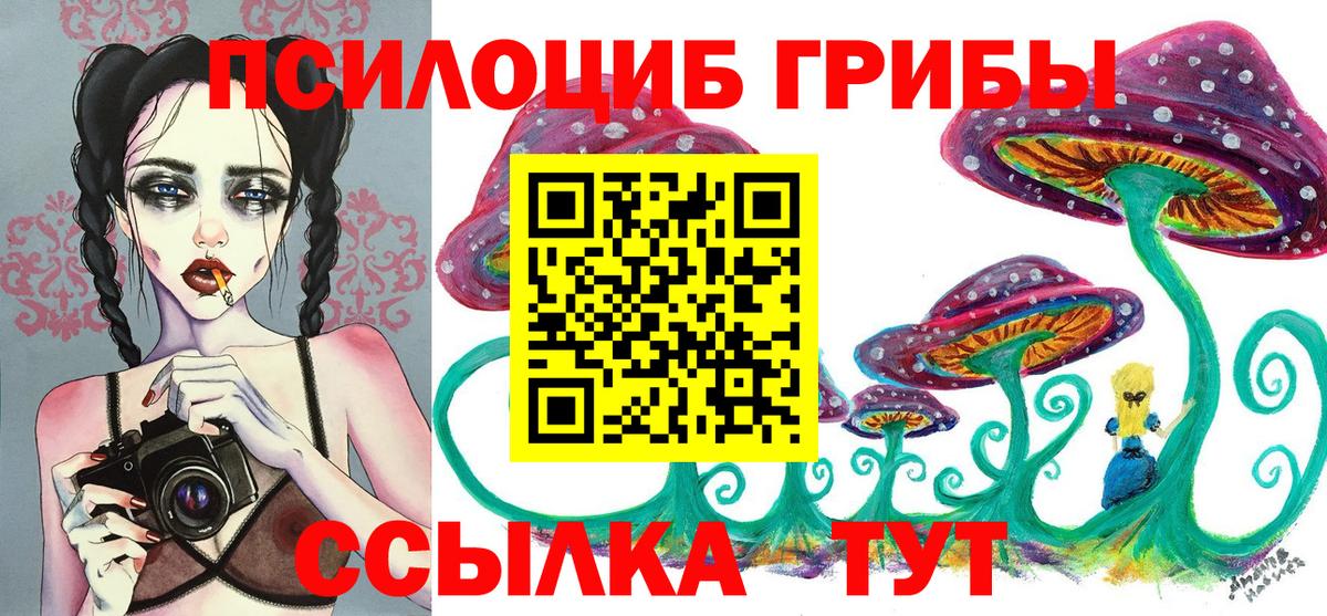Димитровград  Галлюциногенные грибы MAGIC MUSHROOMS  где найти   Вход с VPN 