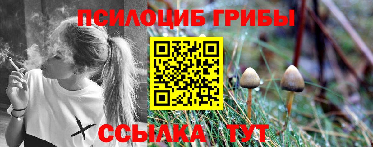 Псилоцибиновые грибы мухоморы Димитровград